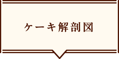 ケーキ解剖図