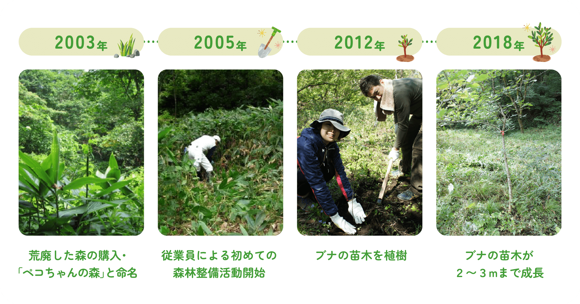 森の再生年表 2003年～2018年